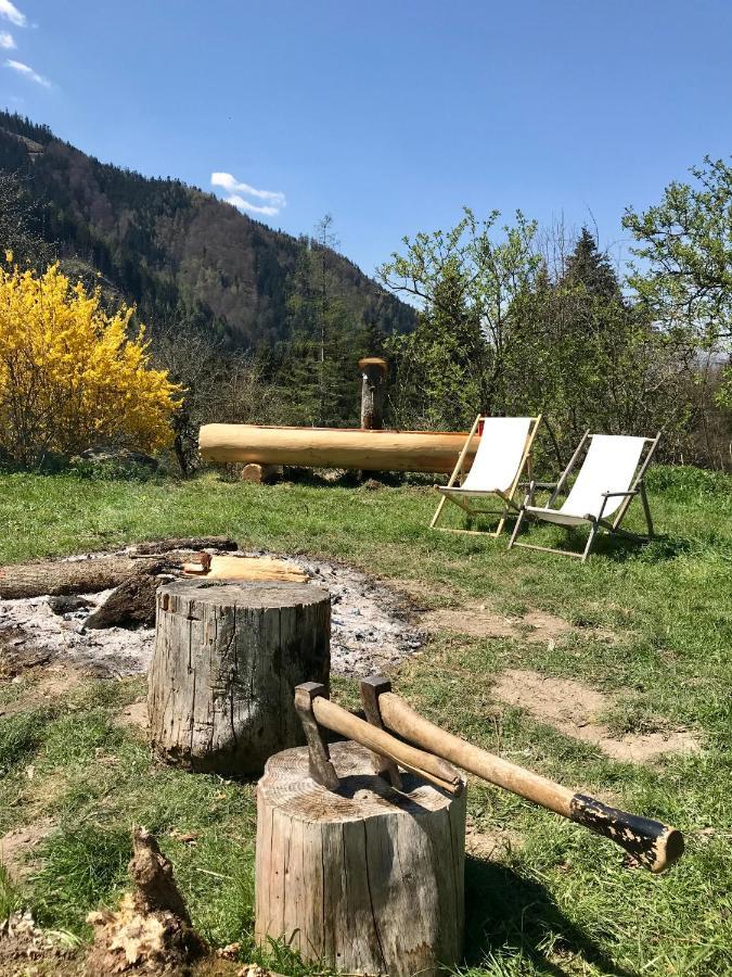 Charmante Gaestewohnung In Altem Bauernhaus In Alpiner Alleinlage Stanz Im Murztal Exteriör bild