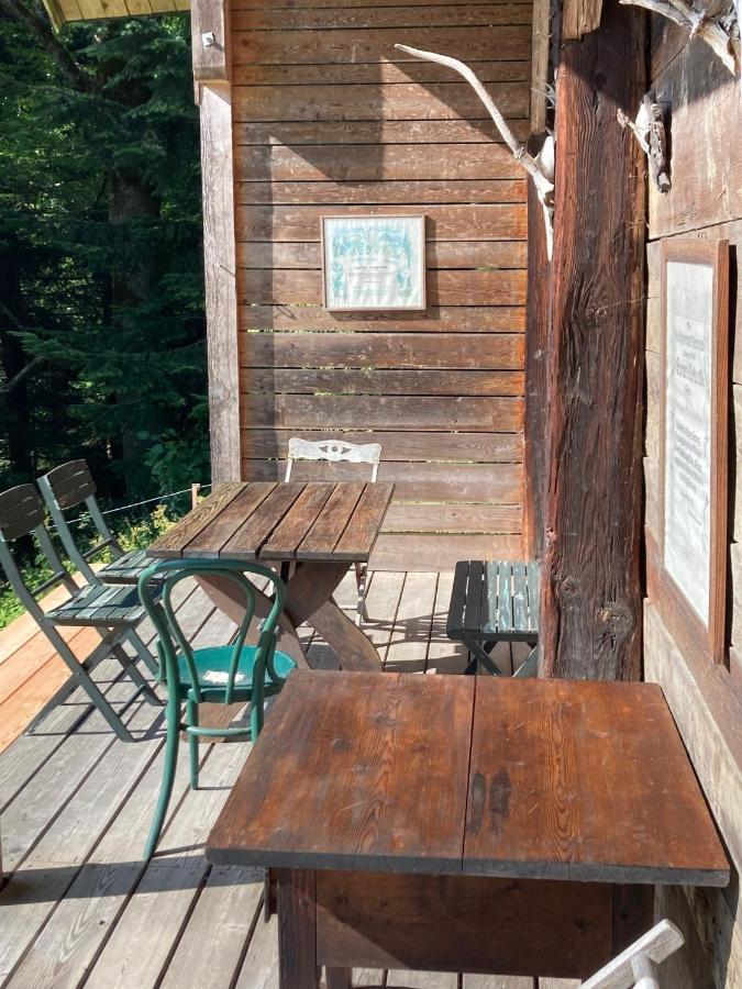 Charmante Gaestewohnung In Altem Bauernhaus In Alpiner Alleinlage Stanz Im Murztal Exteriör bild