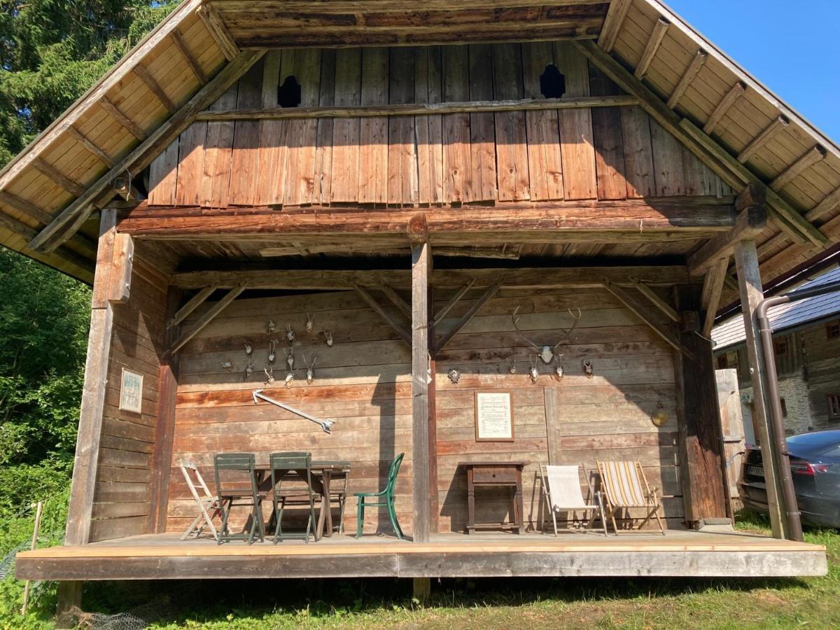 Charmante Gaestewohnung In Altem Bauernhaus In Alpiner Alleinlage Stanz Im Murztal Exteriör bild