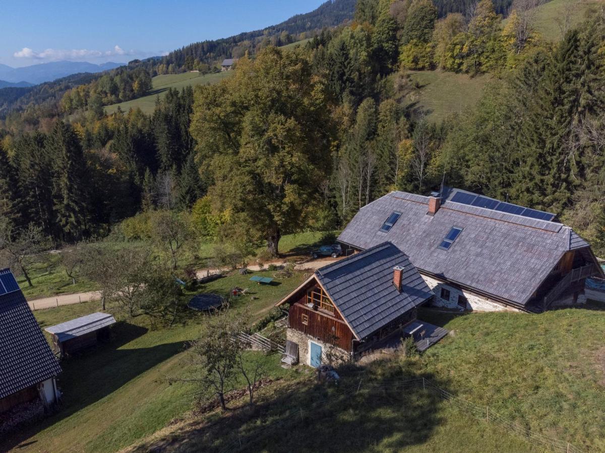 Charmante Gaestewohnung In Altem Bauernhaus In Alpiner Alleinlage Stanz Im Murztal Exteriör bild