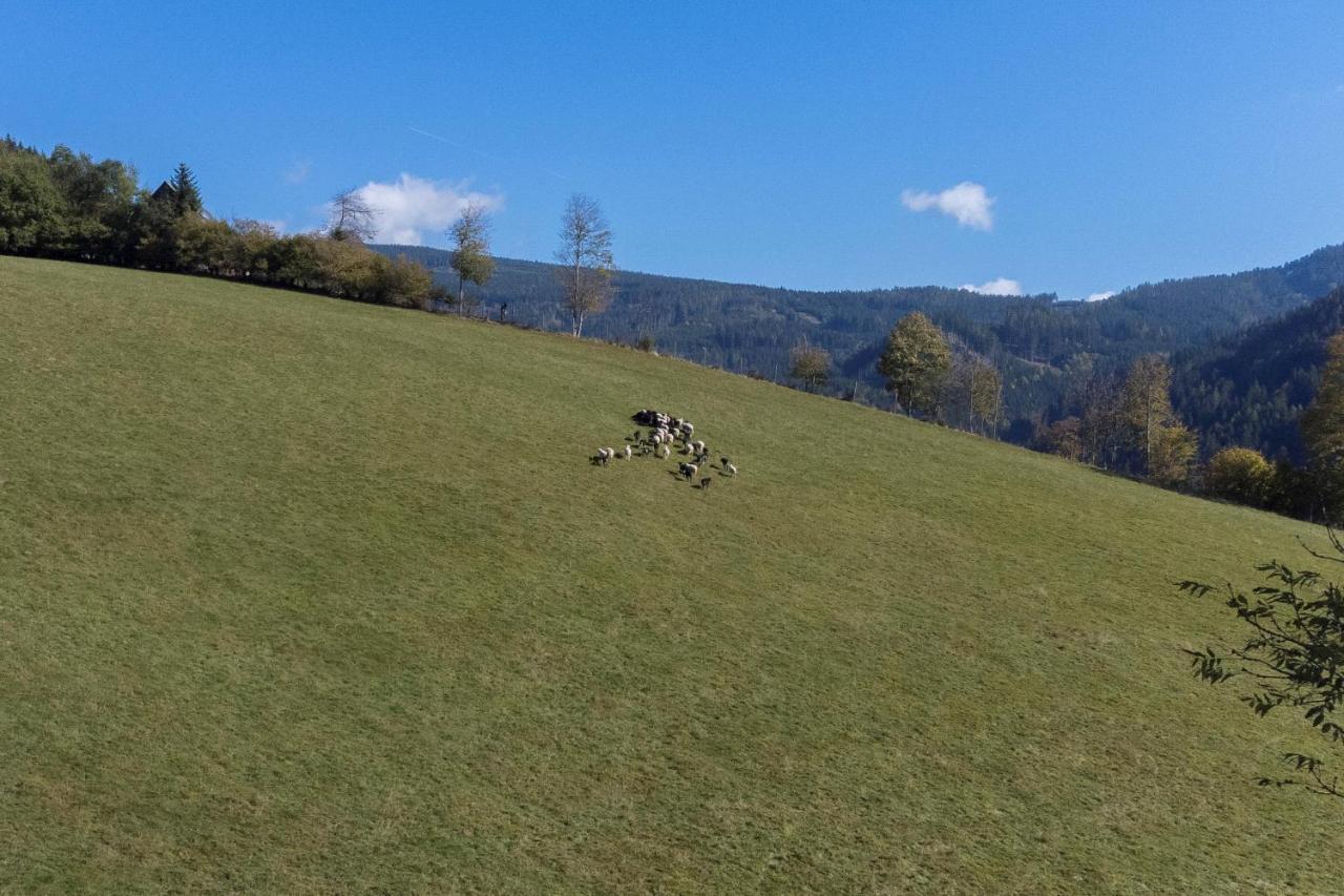 Charmante Gaestewohnung In Altem Bauernhaus In Alpiner Alleinlage Stanz Im Murztal Exteriör bild